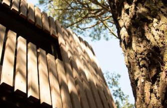 Vaimiti, cabane cosy sous les pins (50m de la plage) - Foto 2