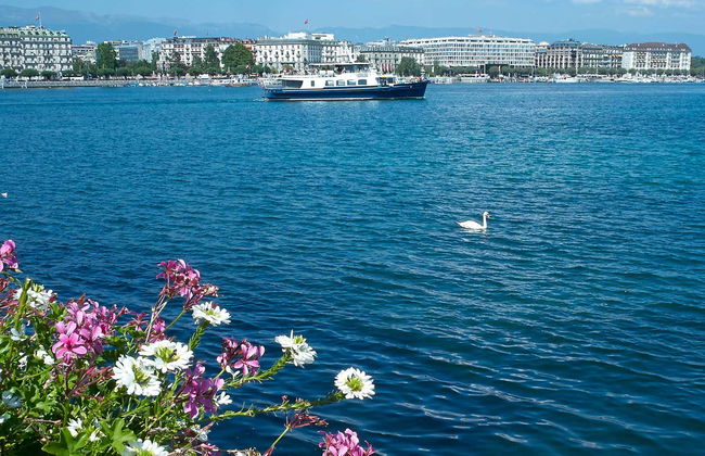 Croisière sur le lac Léman - Photo 3