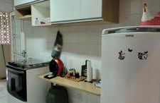 Sítio São José - Foto 50