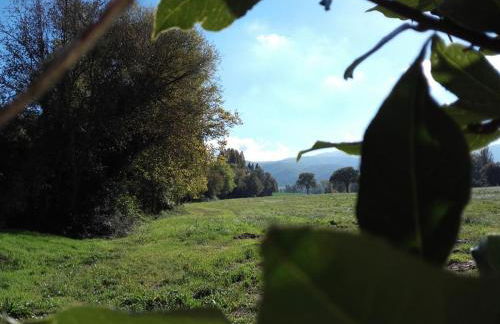 Agriturismo Il Mulino del Vescovo - Foto 33