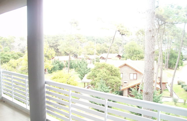 Avutarda de Carilo - Photo 43