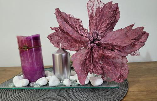 Gamioa-ttiki - Foto 7