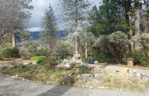 Uncle Grizz's Cabin...get intouch with nature - Foto 31