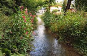 Ferienwohnung Haus Schöneck - Foto 9