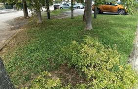 apartment GiòHome - Foto 34