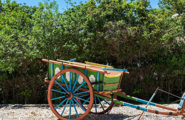 Gorgeous Holiday Home With Swimming Pool - Foto 16