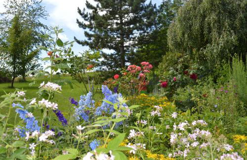 Glashaus Andres Fünf-Sterne-Ferienhaus - Foto 4