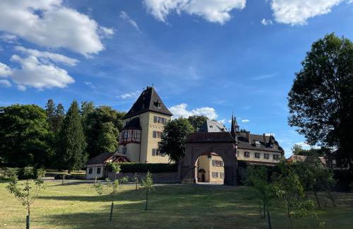Historische Mühle am Schloss - Foto 46