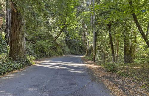 Tranquil Guerneville Home with Redwood Views - Foto 48