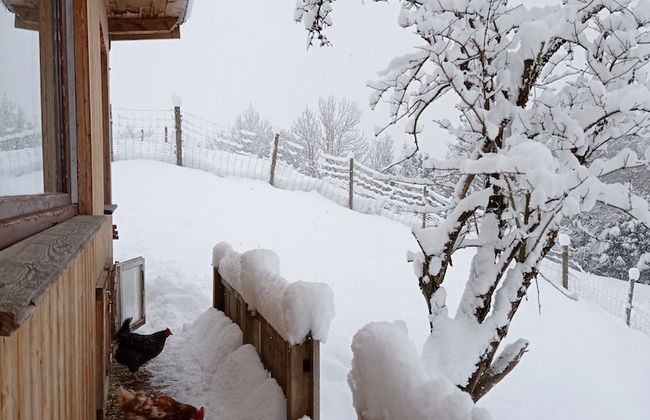 Holiday Home Near Wolfsklamm River - Photo 15