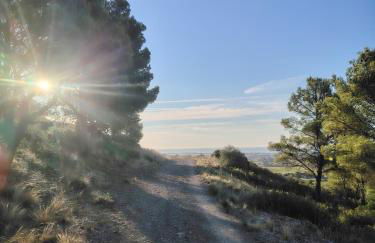 Logement avec terrasse et jardin - Foto 14