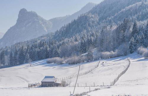 Ferienwohnung Gschwand - Foto 21