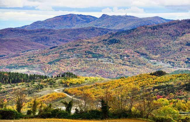 Agriturismo Bio I Rondinelli - Foto 57