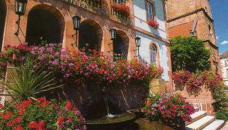 LES HORTENSIAS - Foto 3