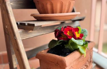 Chianti House Garden - 30 min Firenze centro - Foto 24