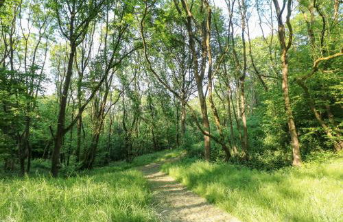 The Barn at Catacol - Foto 29