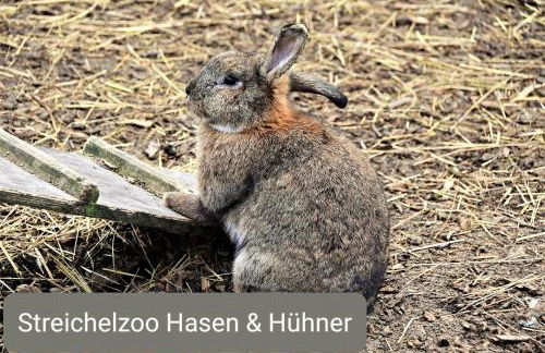 Schäfer's Ferienhof Michaelsberg - Foto 52