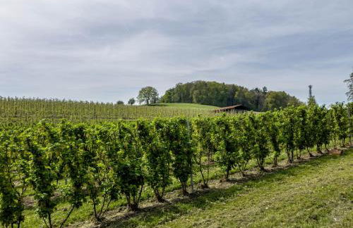 Ferienwohnung Lang - Foto 20