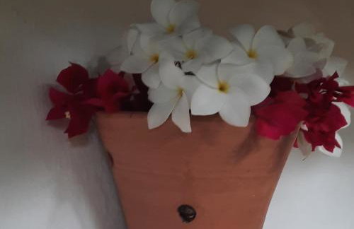 Eco chalés 3 e 4 - Foto 8