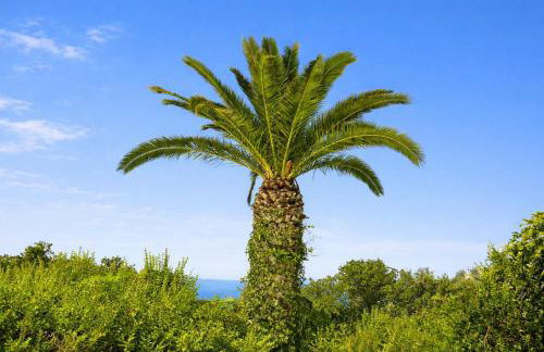 Villa Olympia - Villa Erato - Foto 28