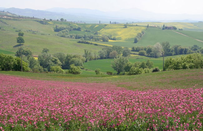 Agriturismo Poggio Tobruk - Foto 26