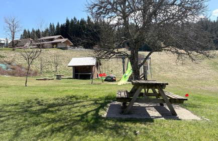 Gites des Gentianes - Foto 42