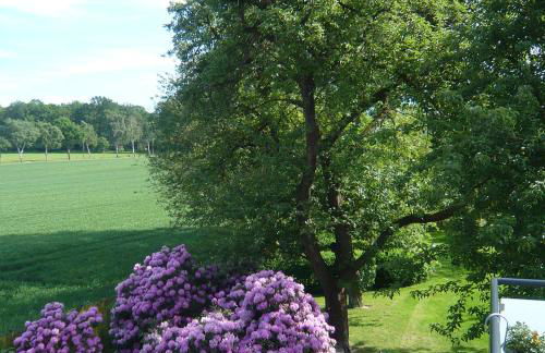 Gästewohnung am Grinderwald - Foto 12