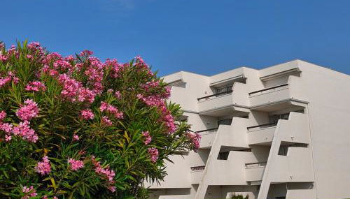 Adoya plage Studio cabine vue port et mer - Foto 5