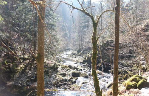 Haus Elisabeth - Foto 33