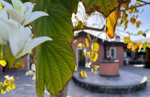 La Casetta di Lollò - Foto 42