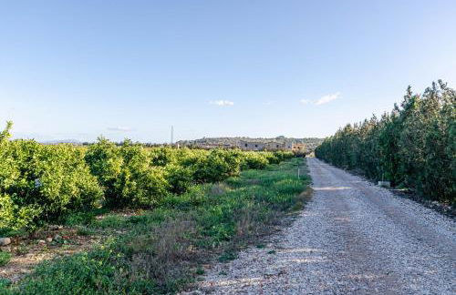 El Limonar de Mallorca - Agroturismo - Foto 24