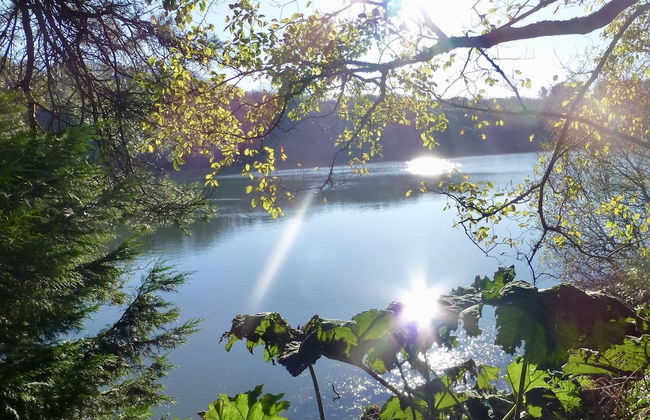 Tresowes Green Cottage - Foto 47