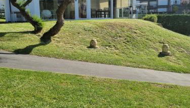 Playa Joyel Family Surf House - Foto 2