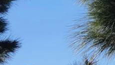 Superbe appartement avec vue sur l océan - Foto 3