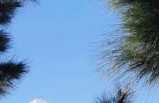 Superbe appartement avec vue sur l océan - Foto 3