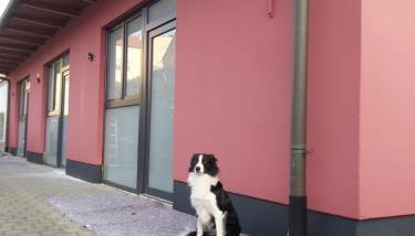 City Pension Senftenberg / Apartment Nr.2 - Foto 5