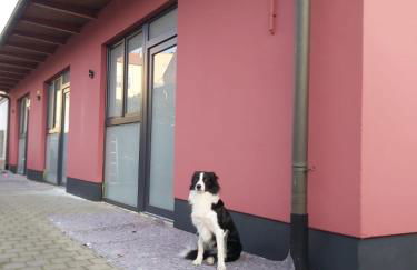 City Pension Senftenberg / Apartment Nr.2 - Foto 5