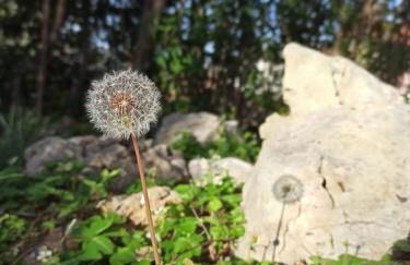 Il Glicine cozy appartamnent, near Sestri Levante between Cinque terre e Portofino - Foto 43