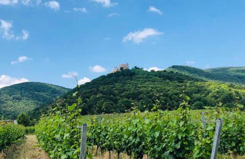 Ferienwohnung Rosenblüte - Foto 27