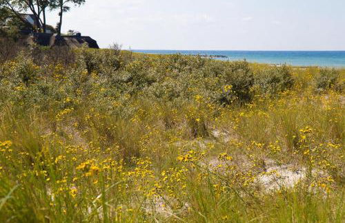 Friederike - Foto 18