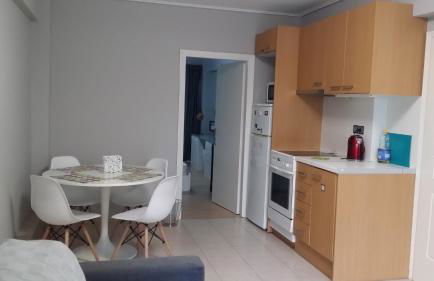 Athenian apartment with garden, near metro station Chalandri Nu 3 - Foto 6