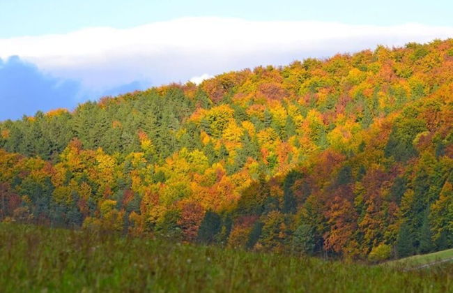 Holiday Home Tachbachtal - Photo 11