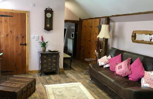 Brecon Boutique Breaks River Run - Foto 6