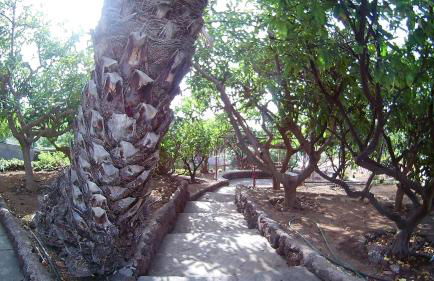 Villa Necho - Foto 46