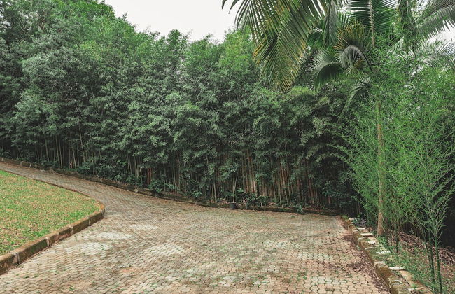 Chalé Encantador na Granja Viana - Foto 32