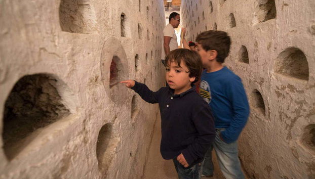 Interior del palomar