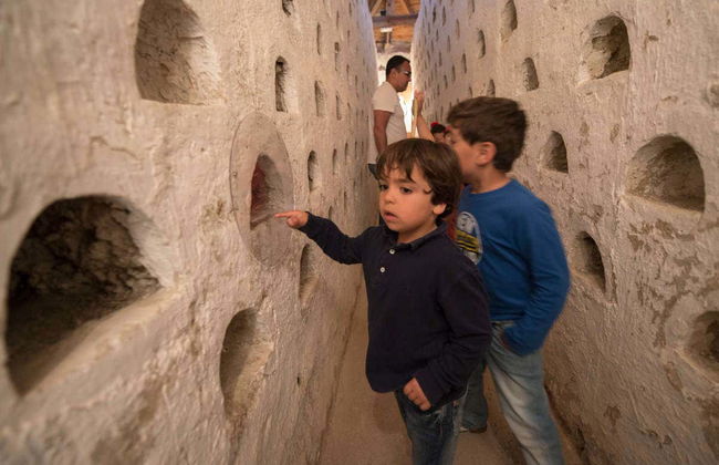 Visita guiada por la finca de Matallana - Foto 4