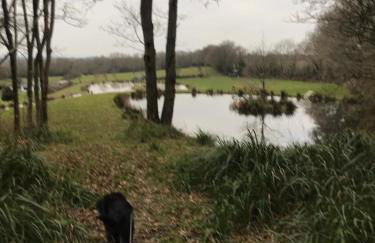 Snug & Secluded Lakeside Shepherds Hut 'Carp' - Foto 38