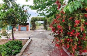 Katerina's Countryside and Sea House - Foto 48