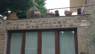 Poggio Gherardo - Foto 4